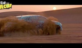 最新沙漠爆料视频播放,揭秘神秘沙漠奇观